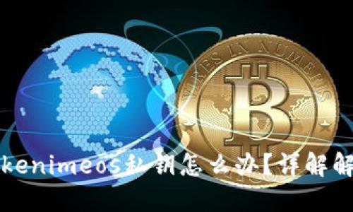 忘记Tokenimeos私钥怎么办？详解解决方案