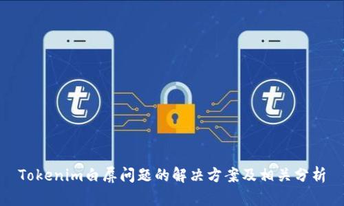 Tokenim白屏问题的解决方案及相关分析
