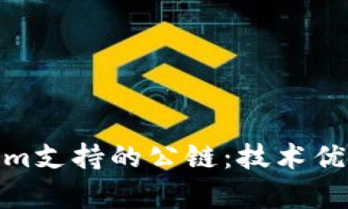 : 解析Tokenim支持的公链：技术优势与应用场景