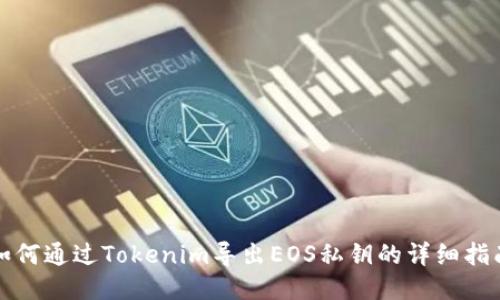 如何通过Tokenim导出EOS私钥的详细指南