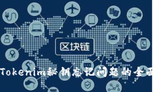 解决Tokenim秘钥忘记问题的全面指南