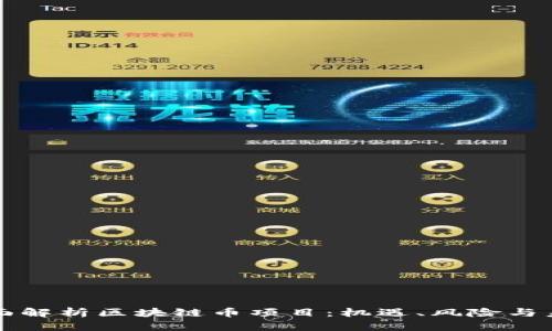 全面解析区块链币项目：机遇、风险与未来