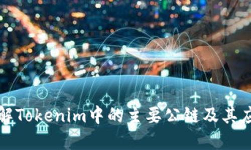 深入了解Tokenim中的主要公链及其应用优势