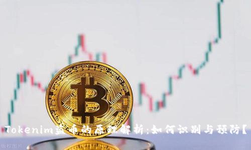 Tokenim盗币的原理解析：如何识别与预防？