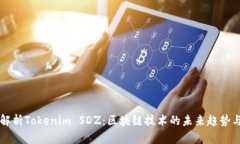 深入解析Tokenim SDZ：区块链
