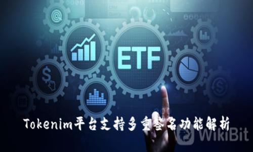 Tokenim平台支持多重签名功能解析