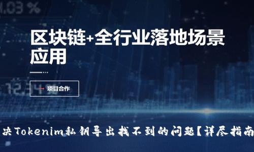 如何解决Tokenim私钥导出找不到的问题？详尽指南与解答