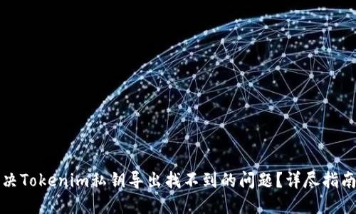 如何解决Tokenim私钥导出找不到的问题？详尽指南与解答