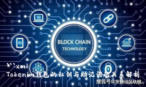 ```xml
Tokenim钱包的私钥与助记词的关系解析