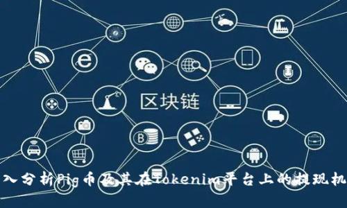 深入分析Pig币及其在Tokenim平台上的提现机制